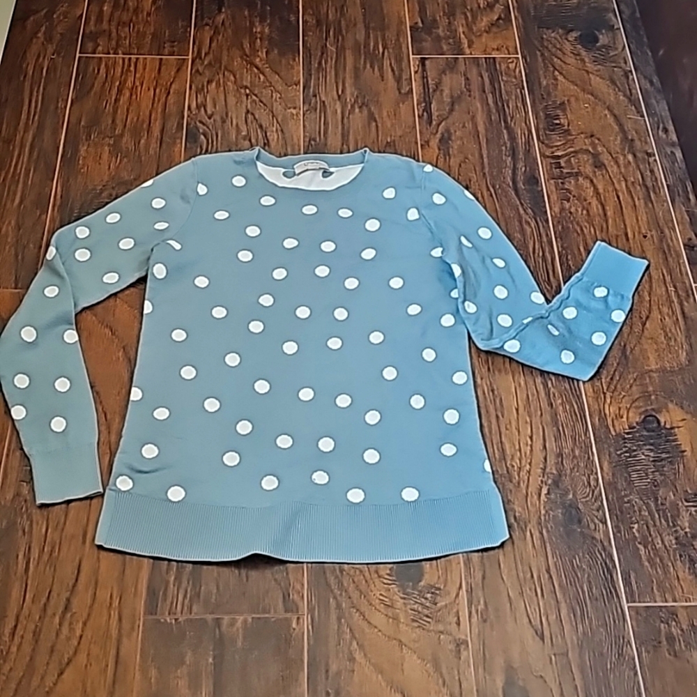 Loft polkadot sweater shiet